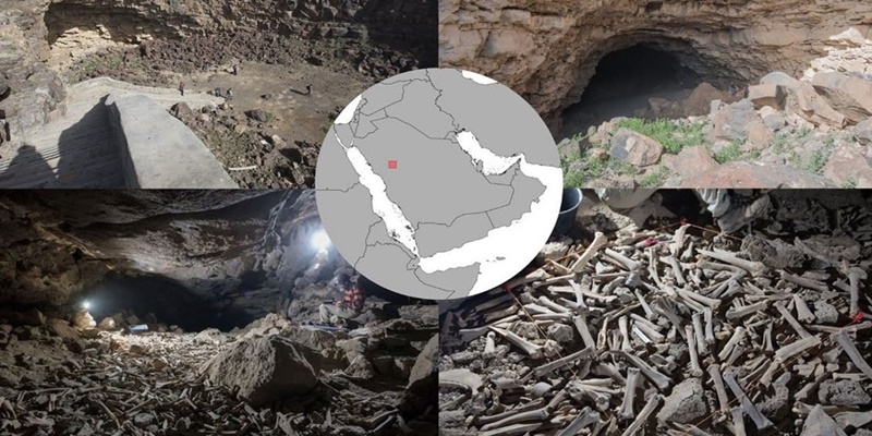 Ratusan Ribu Sisa Tulang-belulang Manusia dan Hewan Ditemukan di Gua Arab Saudi