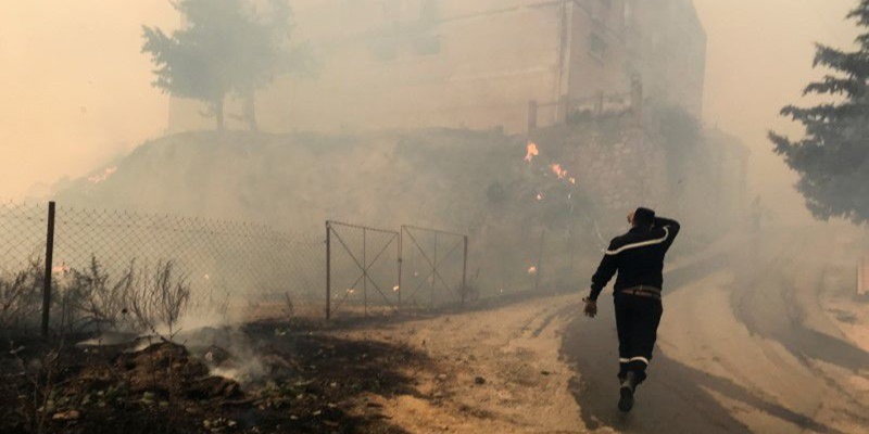 Kebakaran Hutan di Aljazair, Puluhan Warga Sipil Dan Tentara Tewas