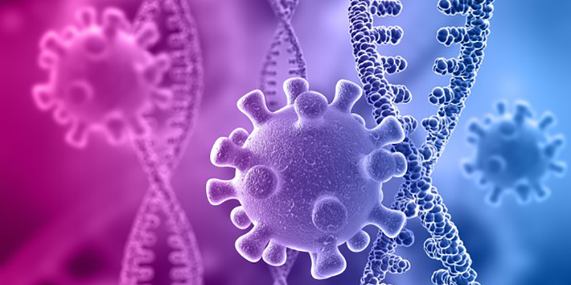 Jurnal Ilmiah: Ahli Virologi AS Temukan Sintesis Virus Mirip Corona Sejak 2008
