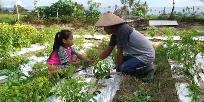 45 Tahun Jalin Kerjasama, Misi Pertanian Taiwan Sudah Menyebar di Indonesia