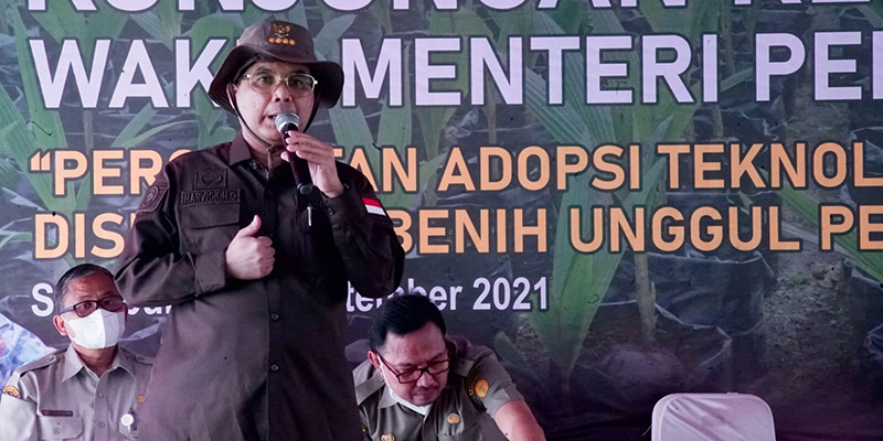 Penuhi Keinginan Jokowi, Wamentan Janji Kunkernya Solutif Bukan Hanya Ceremoni