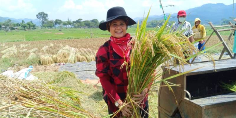 Perempuan dan Sistem Pertanian Egaliter