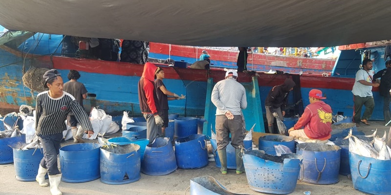 Himpunan Nelayan Ancam Mogok Massal di Pelabuhan Muara Baru Selama Seminggu