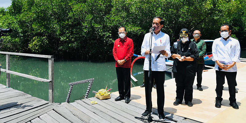 Jokowi Ingin Model Rehabilitasi Mangrove Tahura Ngurah Rai Ditiru Provinsi Lain