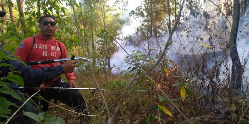 Kebakaran Tiga Hektar Lahan dan Semak Gunung Batur Bangli Berhasil Dipadamkan