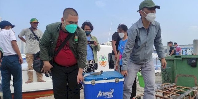 DLH DKI Gerak Cepat Telusuri Pencemaran Paracetamol di Teluk Jakarta