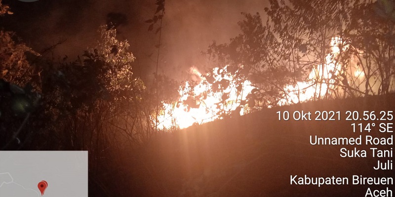 Sempat Menghanguskan 7 Hektar Hutan dan Lahan Warga, BNPB Minta Pemda Aceh Waspadai Kebakaran Lanjutan