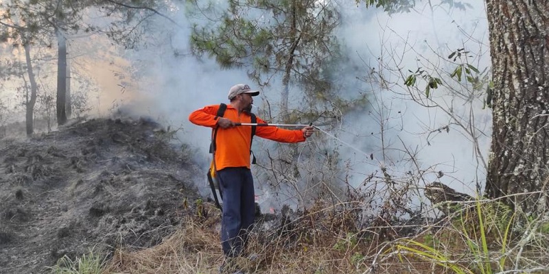 Kebakaran Semak dan Lahan Terjadi di Taman Wisata Alam Gunung Batur Bukit Payang Bangli