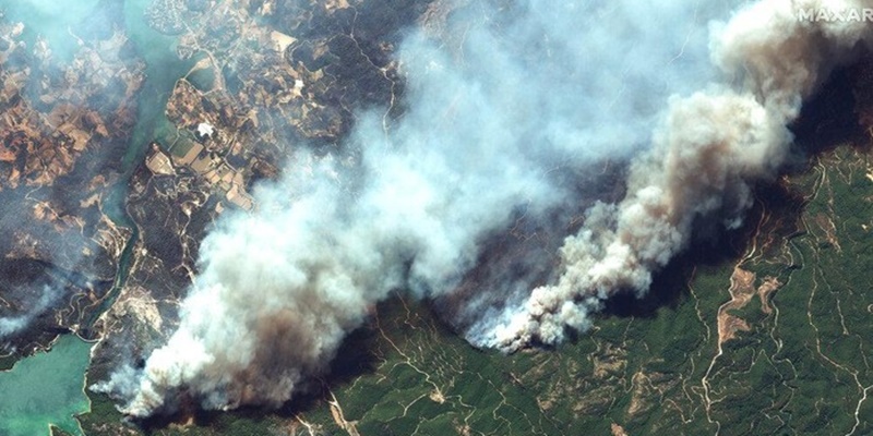 Diduga Jadi Biang Keladi Kebakaran Hutan, Tujuh Wisatawan Rusia Diamankan Polisi Turki