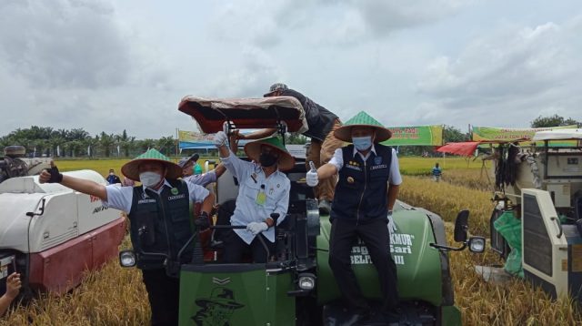 Jokowi Minta Mentan Tingkatkan Produktivitas Pertanian di Papua Barat, SYL: Kita Maksimalkan Jagung