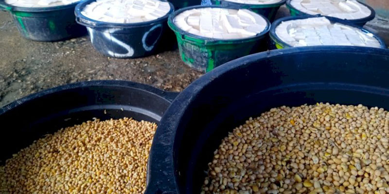 Bikin Perajin Tahu Kelimpungan, Ini Penyebab Harga Kedelai di Aceh Melejit Tinggi