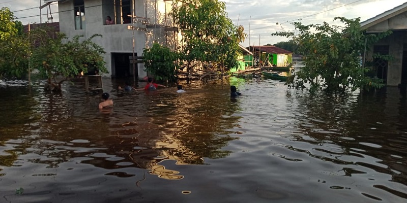 Enam Kecamatan di Kapuas Hulu Terdampak Banjir, 6.524 Warga Terdampak