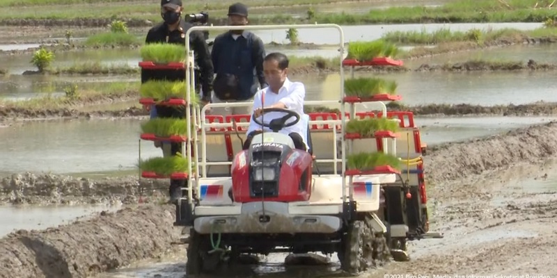 Jokowi Happy Stok Pangan 2021 Tercukupi Tanpa Harus Impor