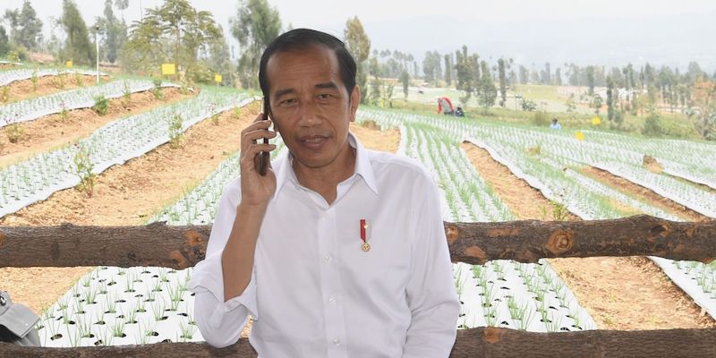 Jokowi Telepon Menteri Perdagangan: Petani Mengeluh, Saat Panen Kok Impor Bawang Justru Masuk