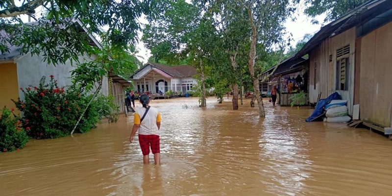 Pengamat: Masa Iya IKN Kebanjiran, Apa Kata Dunia?