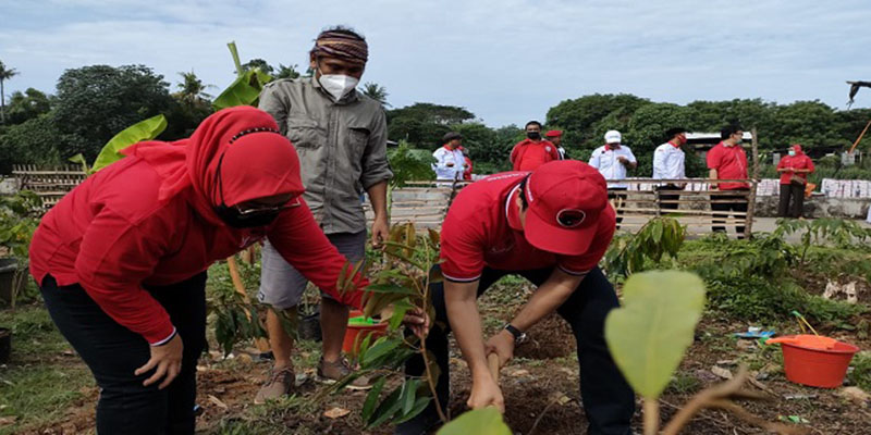 PDIP Banten Hijaukan Bantaran Cisadane dengn 5000 Pohon