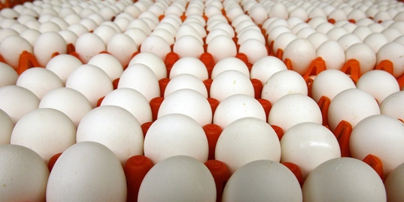 Taiwan Alami Kelangkaan Telur Jelang Imlek, Harga Melonjak Hingga Rp 46.500 Perkilo