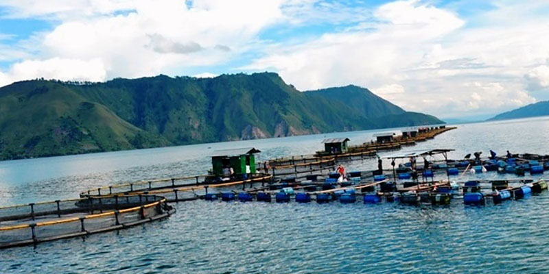 Danau Toba Kini Bau Amis, Gubernur Sumut Diminta Tegas Larang KJA