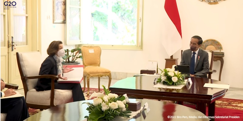 Bertemu Menhan Prancis, Jokowi Ingin Kerja Sama Lebih dari Jual Beli Alutsista
