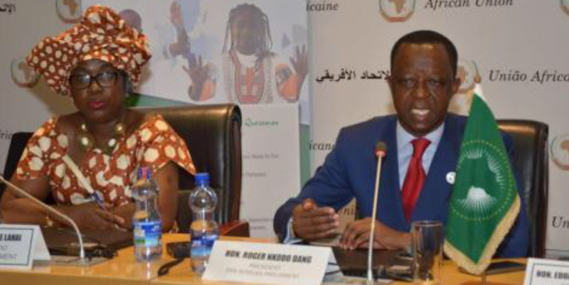 Presiden Parlemen Pan-Afrika Protes soal Publikasi Dokumen Palsu di Situs Parlemn Eropa