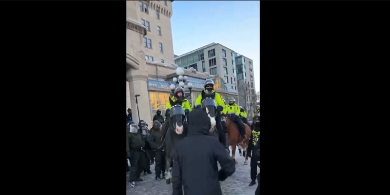 Viral Polisi Berkuda Injak-injak Pendemo Anti Pembatasan dan Vaksin Covid di Ottawa