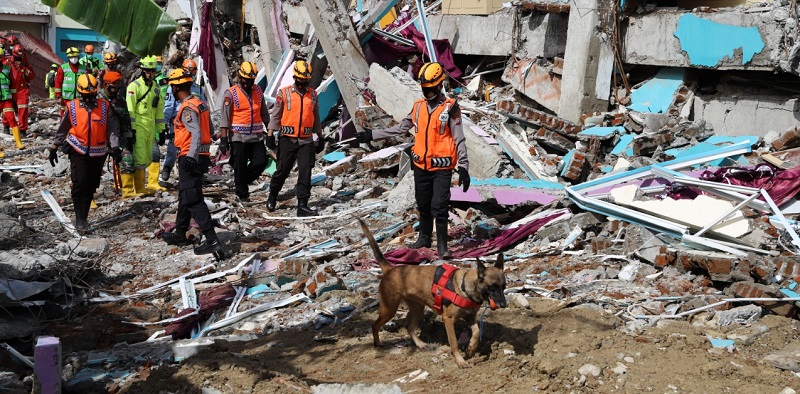 Polda Sumbar Turunkan Tim dengan Anjing Pelacak Cari Korban Gempa Pasaman