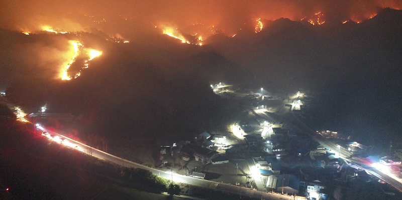 Kebakaran Hutan Korsel, Presiden Moon Jae-in Perintahkan Perlindungan PLTN Hanul