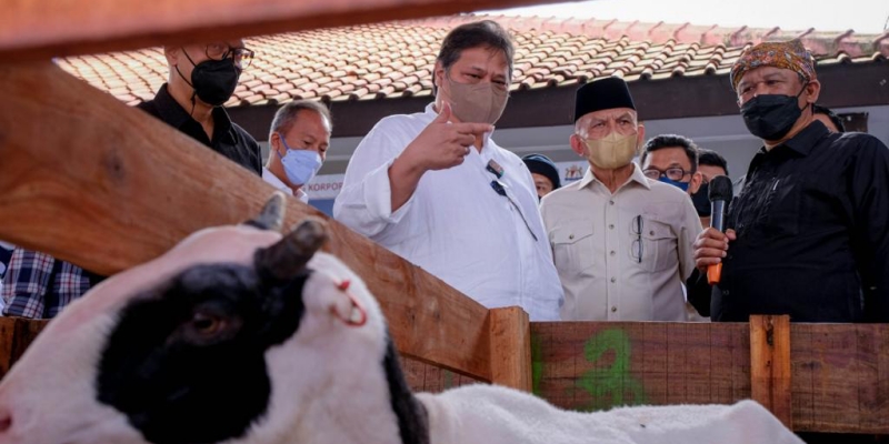 Putar Perekonomian Rakyat, Menko Airlangga Dorong Pengembangan Peternakan Domba