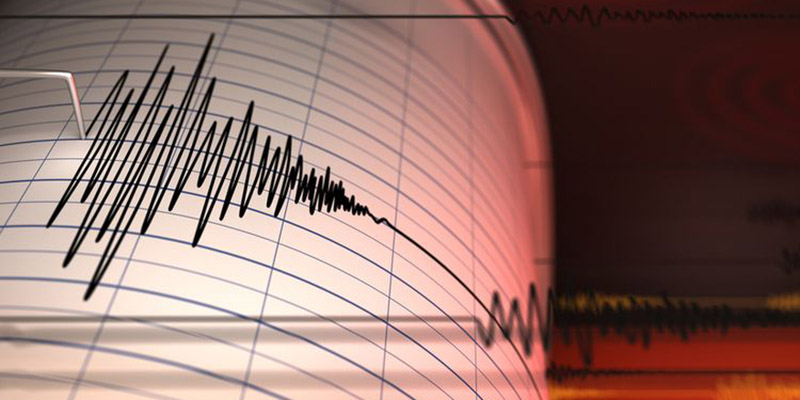 Gempa Tektonik Magnitudo 5,9 Guncang Halmahera Barat, Terasa hingga Siau dan Bitung