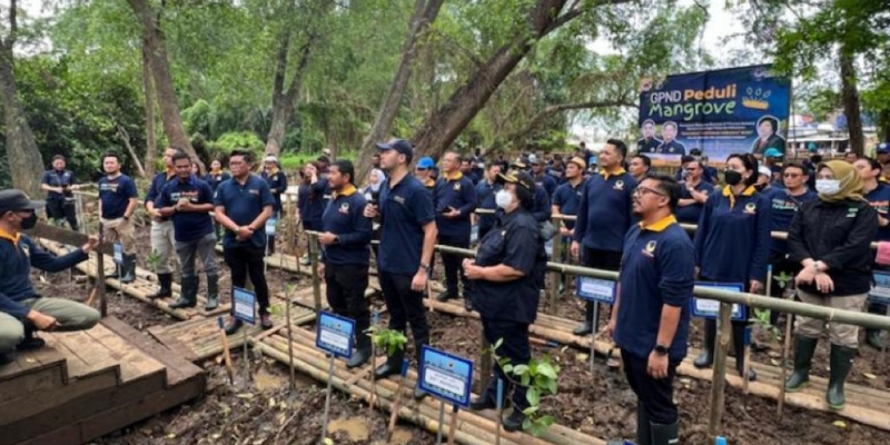 Lestarikan Lingkungan Pesisir, GP Nasdem Tanam Mangrove Serentak di Tujuh Provinsi