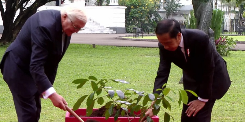 Di Istana Bogor, Jokowi dan Presiden Jerman Tanam Pohon Cendana