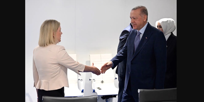 Dapat Jaminan, Turki Akhirnya Dukung Finlandia dan Swedia Masuk NATO