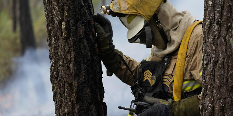 Kebakaran Hutan Landa Eropa, Tewaskan Seorang Petugas Damkar