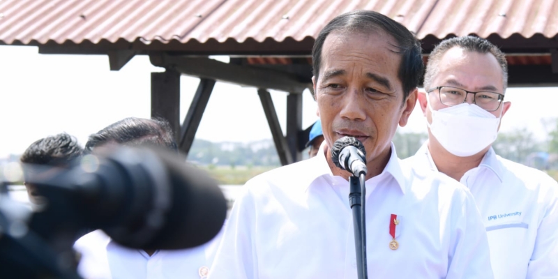 Kantongi Nama Pengganti Lili Pintauli, Jokowi: Masih Diproses