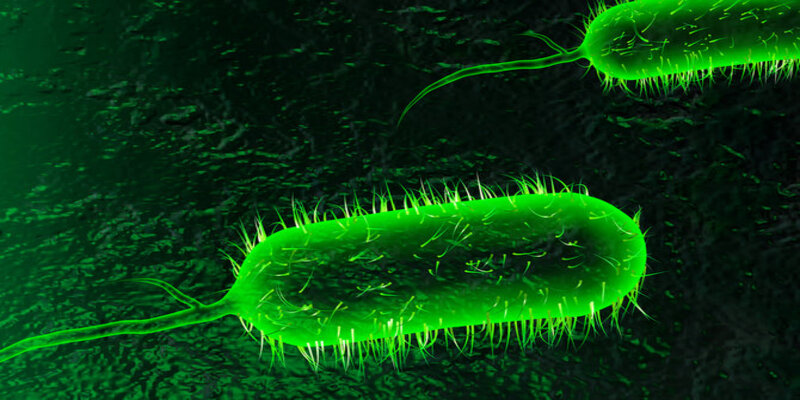 Universitas Wuhan China Laporkan Kasus Kolera di Tengah Pandemi