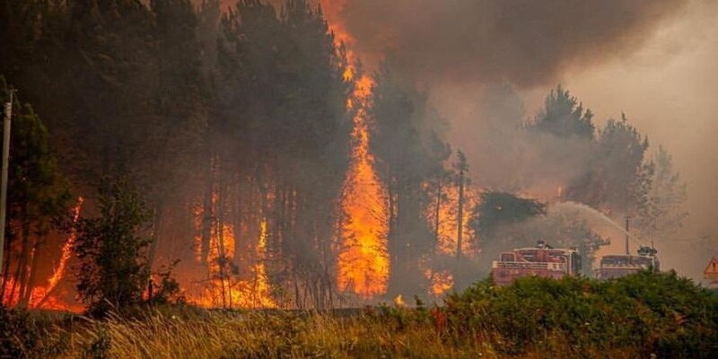 Prancis Kembali Dilanda Kebakaran Hutan, 900 Hektar Lahan Ludes Terbakar