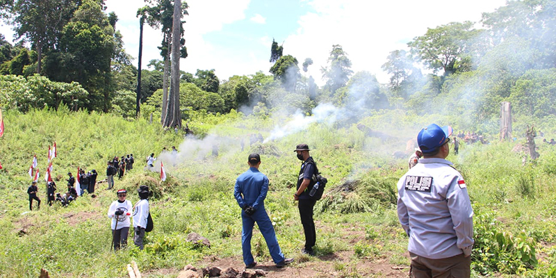 Pengembangan Kasus, Polisi Temukan 25 Hektare Ladang Ganja di Lamteuba Aceh Besar