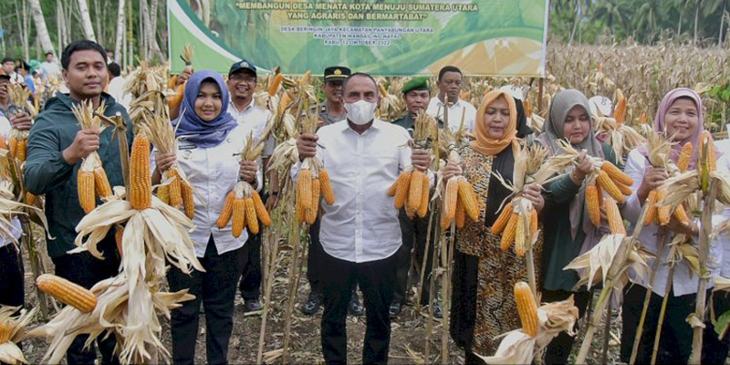 Wujudkan Ketahanan Pangan, Gubernur Edy Dorong Budidaya Jagung