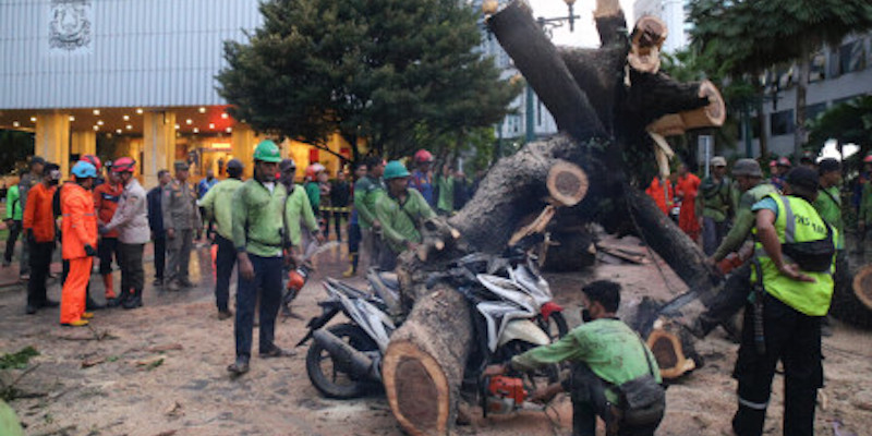 Pemilik Motor yang Tertimpa Pohon Tumbang Balaikota Bisa Ajukan Klaim