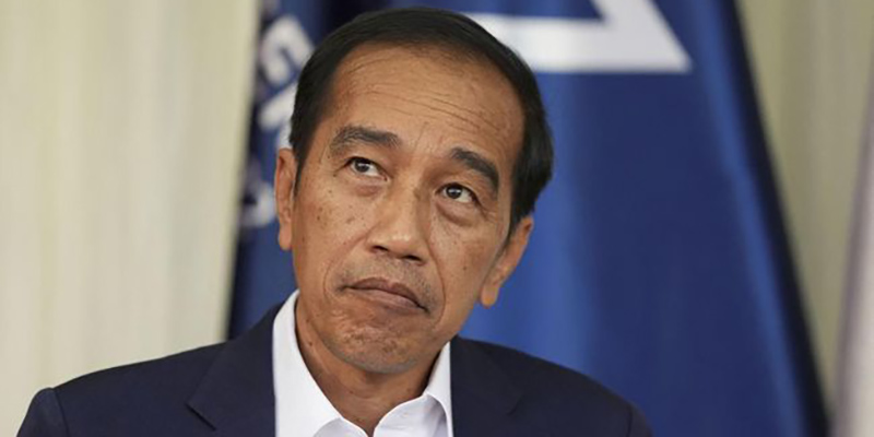 Jika Tak Ingin Jadi Macan Ompong Usai Lengser sebagai Presiden, Jokowi Harus Rebut Jabatan Ketum PDIP atau Parpol Lainnya