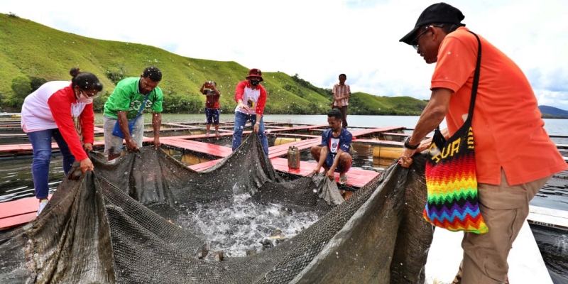 Tingkatkan Ketahanan Pangan, BIN Bina Pemuda Papua untuk Geluti Pertanian dan Perikanan