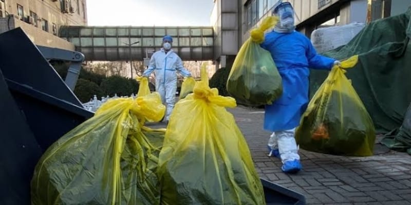 15 Ribu Bebek di Ceko Terpaksa Dimusnahkan Setelah Terjangkit Flu Burung