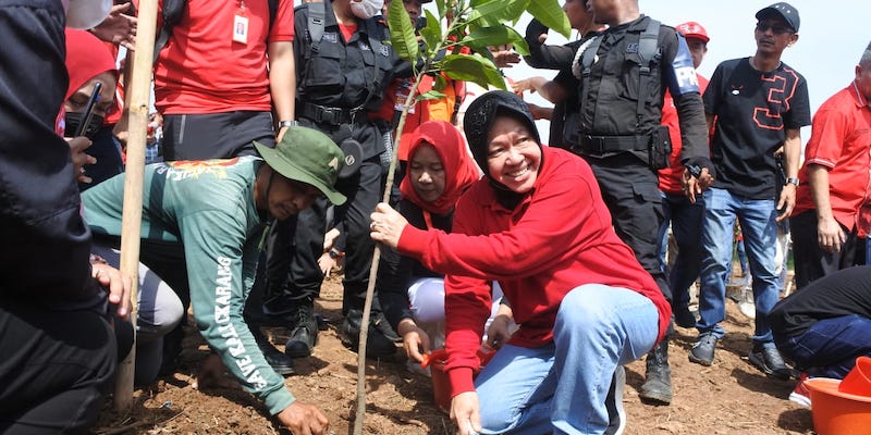 Nasihat Megawati pada Tri Rismaharini: Rawat Rakyatmu