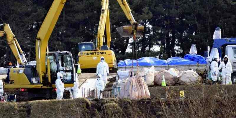 Cetak Rekor, Hampir 10 Juta Burung di Jepang Musnah Akibat Virus H5N1