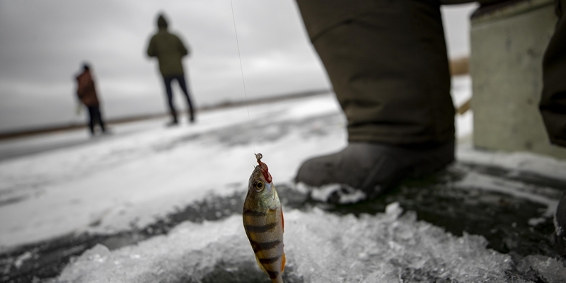 <i>Healing</i> dari Perang, Warga Ukraina Pilih Mancing di Danau Beku