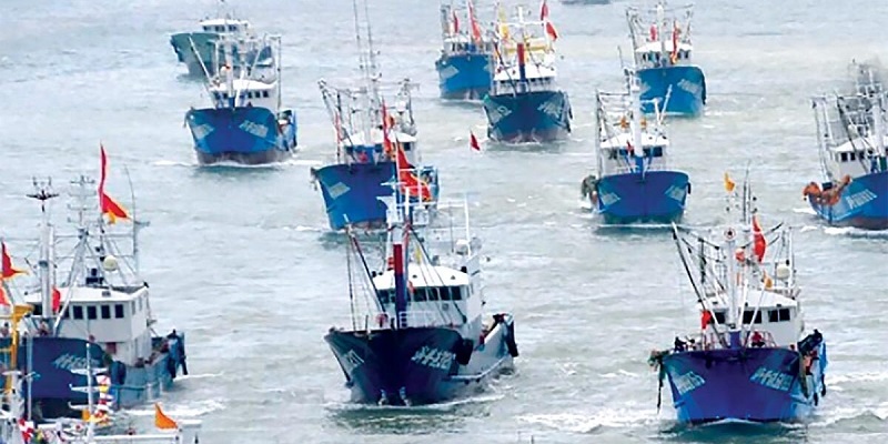 Sering Jarah Ikan, Perilaku China Ancam Ketahanan Pangan Dunia