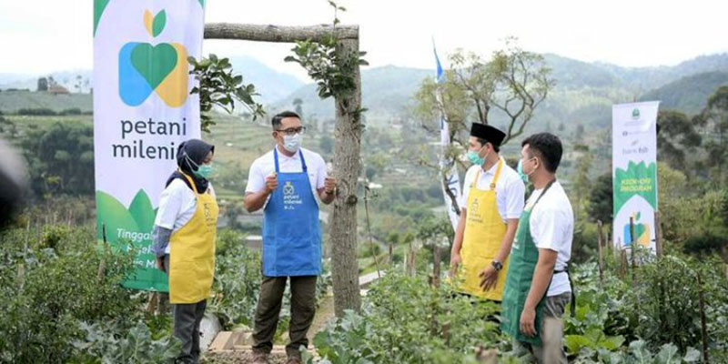 Mengecewakan, Program Petani Milenial Besutan Ridwan Kamil Justru Bikin Peserta Merugi