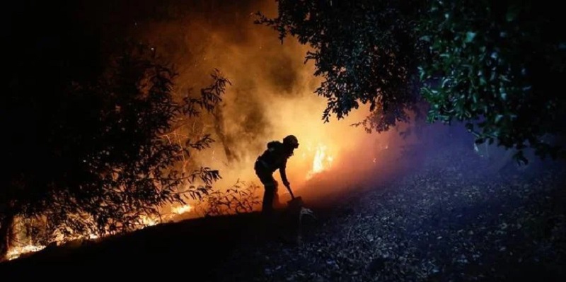 Api Meluas, Kebakaran Hutan di Chili Telan 22 Nyawa
