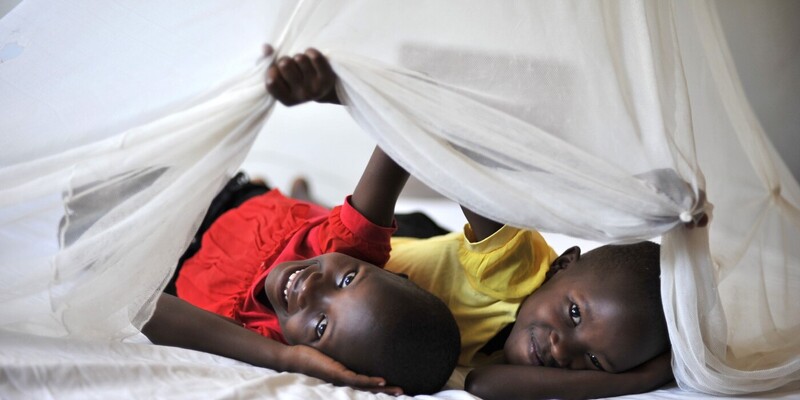 Cegah Malaria, Tanzania Bagikan 500 Ribu Kelambu ke Sekolah