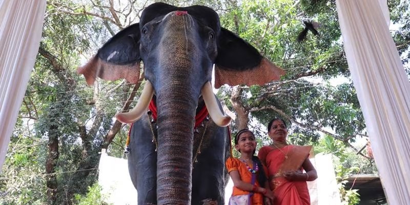 Jaga Kelestarian Hewan, Sebuah Kuil di India Gunakan Robot Gajah untuk Upacara